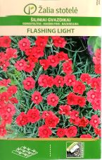 Dianthus Flashing Lights Seeds